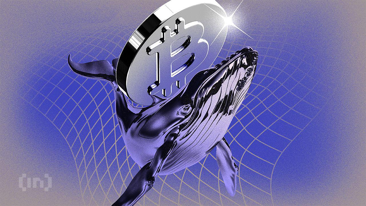 MicroStrategy 暂停比特币购买创历史新高