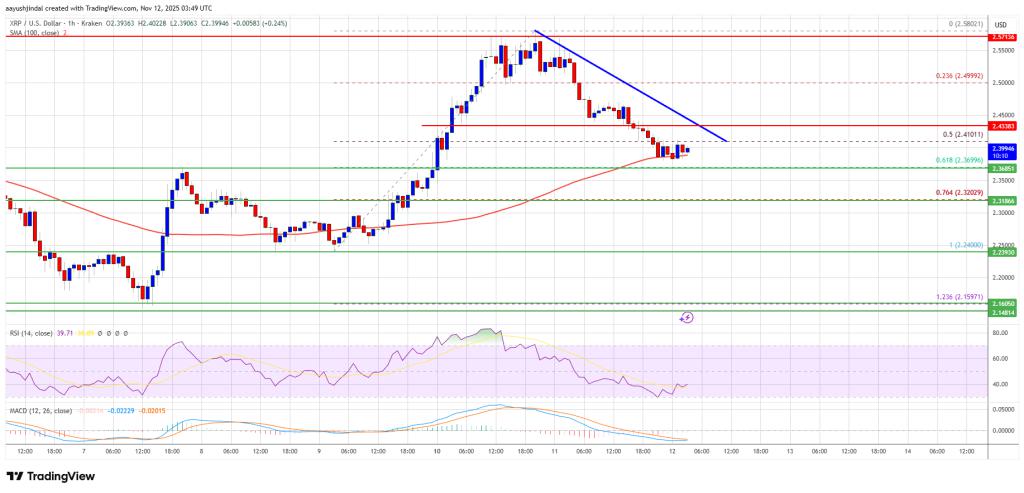 XRP价格小幅回落——市场仍在蓄势待发，随时迎接新一轮上涨