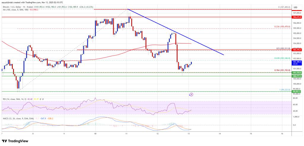 Bitcoin fails to rebound and drops again-- ,000 support level becomes a focus of attention.