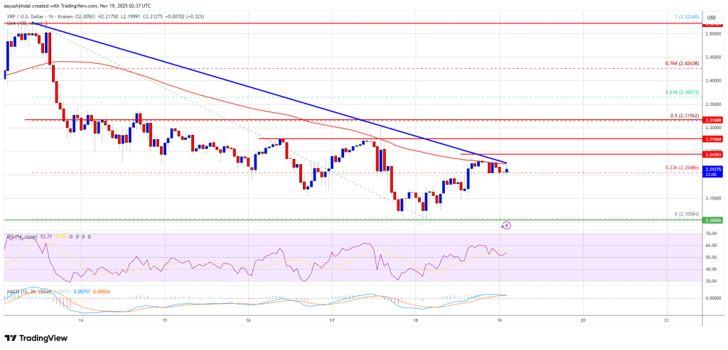 XRP价格突破阻力位,动能展示混合信号趋势